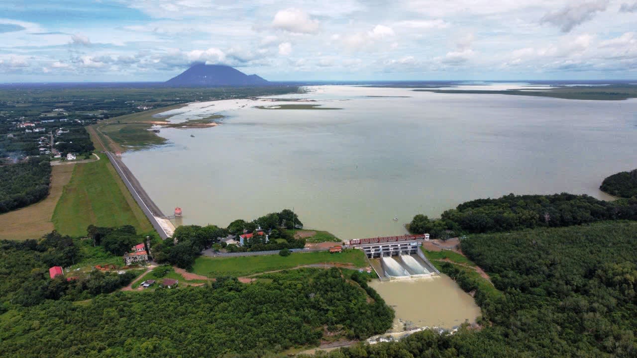 Image of 2 retro cars in a driveway of a Palm Springs house