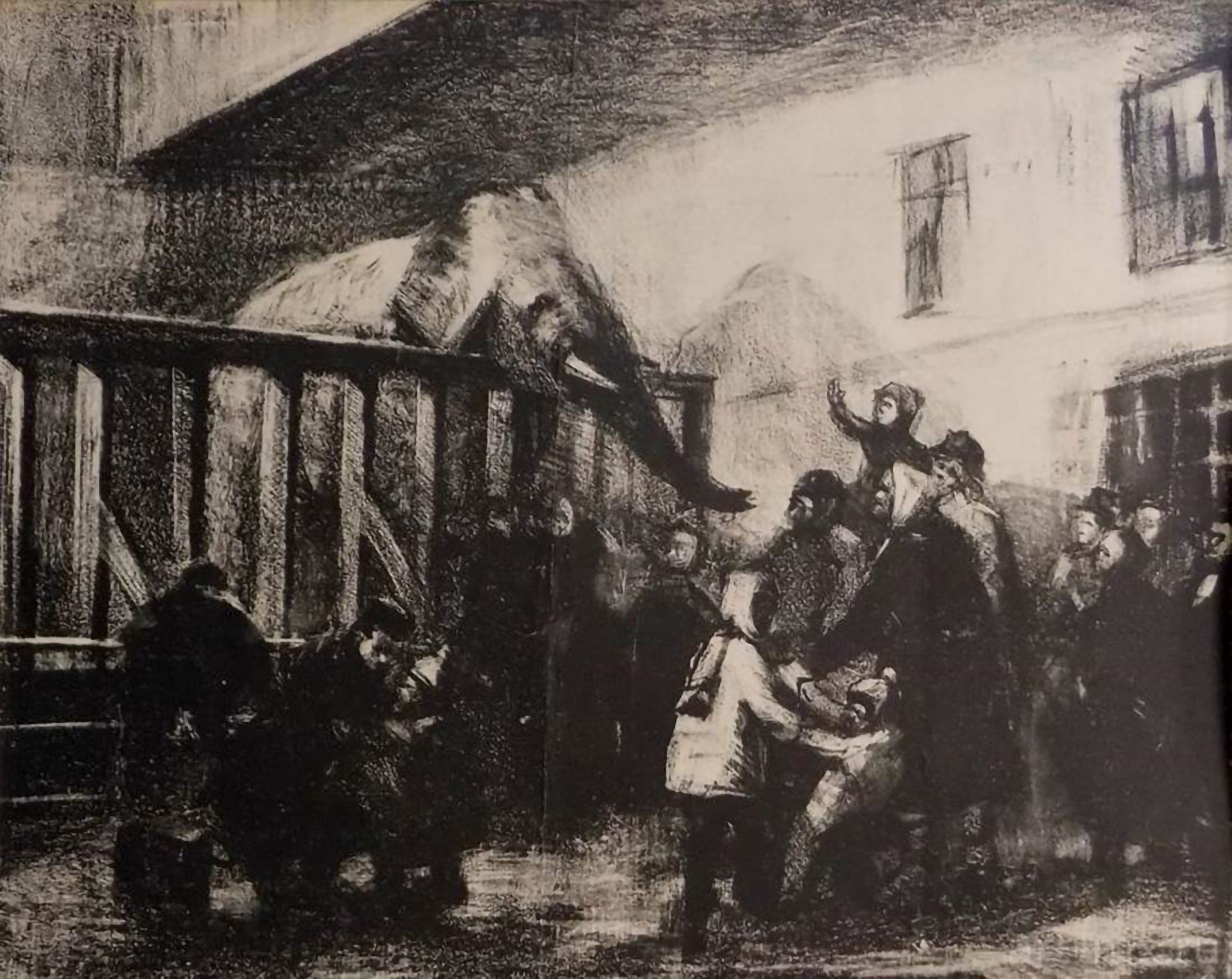 Voi từ Việt Nam trong vườn thú Leningrad. (Tranh của họa sĩ Genrikh Kilpe)