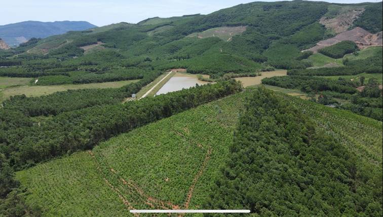 A green hills with trees and a pond

AI-generated content may be incorrect.