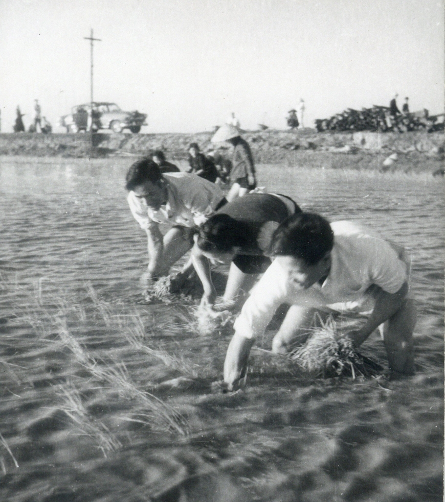 Đại tướng Nguyễn Chí Thanh với Phong trào “Gió Đại Phong”