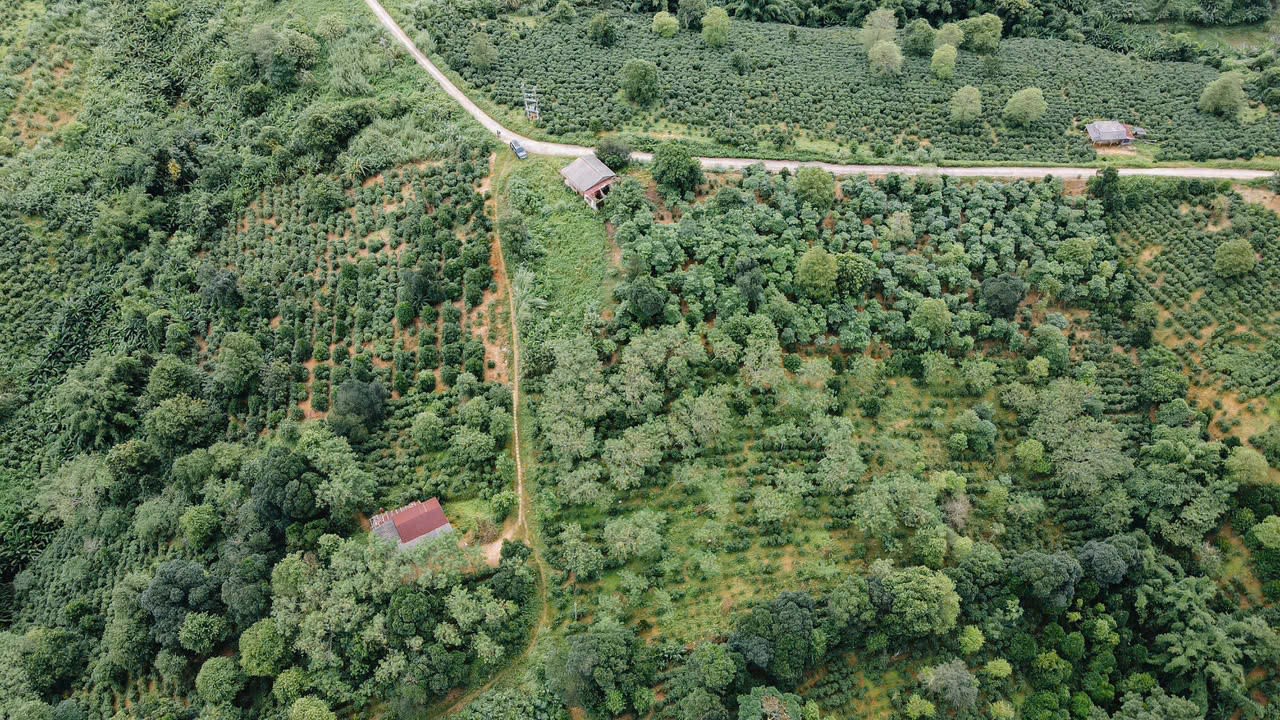 Image of 2 retro cars in a driveway of a Palm Springs house