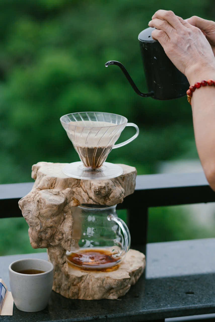 Image of palm trees and car